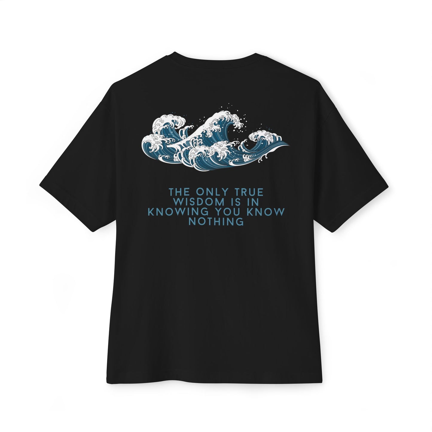 the only true wisdom is in knowing you know nothing